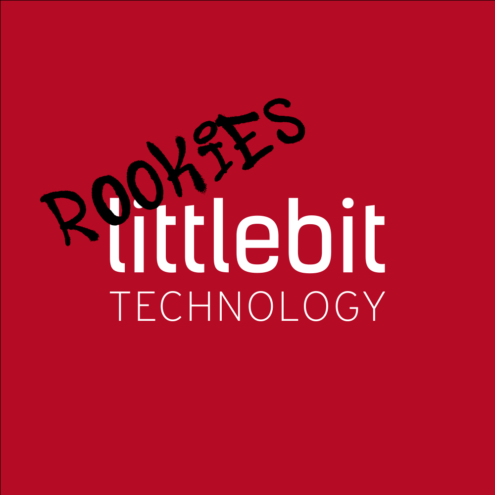 Littlebit Rookies